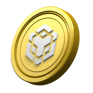 BNB coin görseli, platform bilgi bölümünde dekoratif öğe olarak yer alıyor